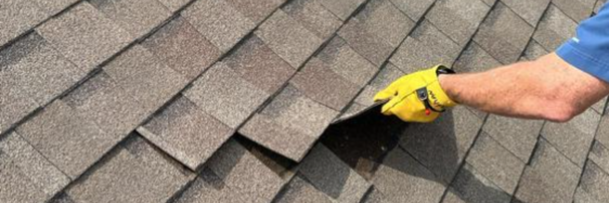 roof maintenance